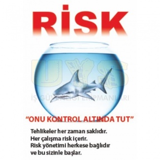 Risk Onu Kontrol Altında Tut Posteri