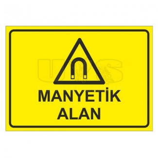 Manyetik Alan